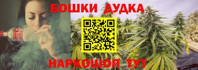 МДПВ Тулун